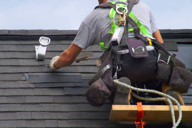 Best Roof Maintenance Services  in Richton Park, IL