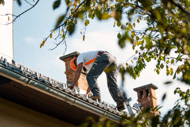 Best Roof Gutter Cleaning  in Richton Park, IL