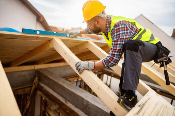 Roof Gutter Cleaning in Richton Park, IL