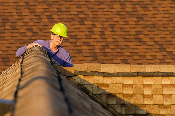 Residential Roof Replacement in Richton Park, IL